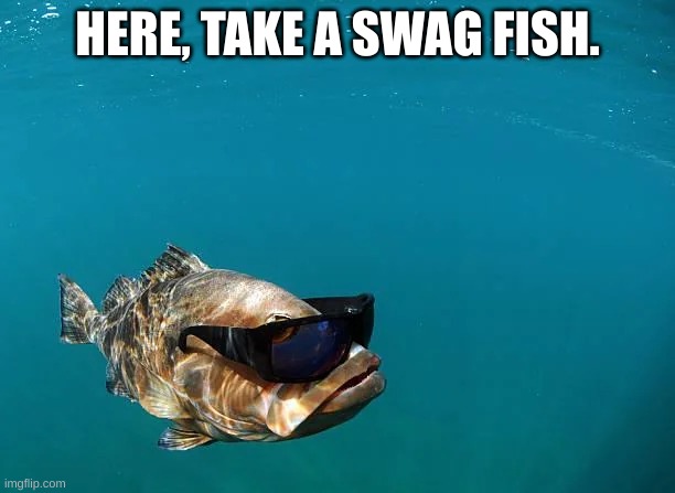 swag fish | HERE, TAKE A SWAG FISH. | image tagged in swag,fish | made w/ Imgflip meme maker