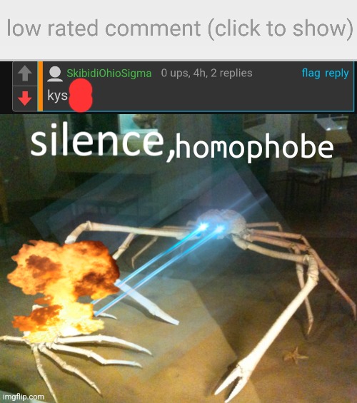 homophobe | image tagged in low-rated comment imgflip,silence crab | made w/ Imgflip meme maker