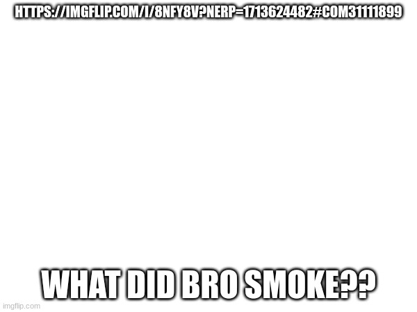 HTTPS://IMGFLIP.COM/I/8NFY8V?NERP=1713624482#COM31111899; WHAT DID BRO SMOKE?? | made w/ Imgflip meme maker