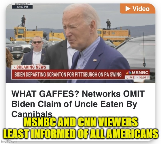 Smith Mundt Act! 2013 amended We no longer have news. We have propaganda | MSNBC AND CNN VIEWERS LEAST INFORMED OF ALL AMERICANS | image tagged in fake news,cnn fake news,propaganda,lies,msnbc,media lies | made w/ Imgflip meme maker