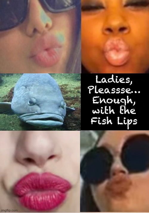 It’s a good look, on fish.  But Not on women. | Ladies,
Pleassse…
Enough,
with the
Fish Lips | image tagged in memes,yes big lips are nice,not exaggerated ones tho,looks stupid,makes a pretty woman look goofy | made w/ Imgflip meme maker