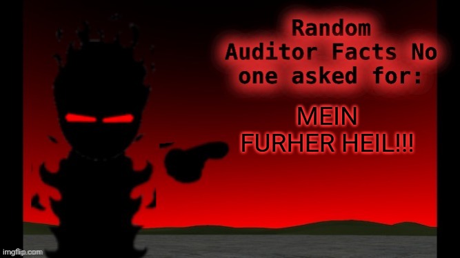 Auditor facts | MEIN FURHER HEIL!!! | image tagged in auditor facts | made w/ Imgflip meme maker