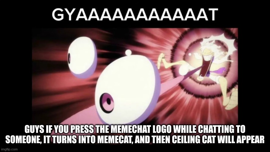 WOAH | GUYS IF YOU PRESS THE MEMECHAT LOGO WHILE CHATTING TO SOMEONE, IT TURNS INTO MEMECAT, AND THEN CEILING CAT WILL APPEAR | image tagged in ceiling cat,easter egg | made w/ Imgflip meme maker