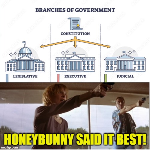 Honey Bunny said it best | HONEYBUNNY SAID IT BEST! | image tagged in pulp fiction,government corruption,white house,congress,senate,scotus | made w/ Imgflip meme maker