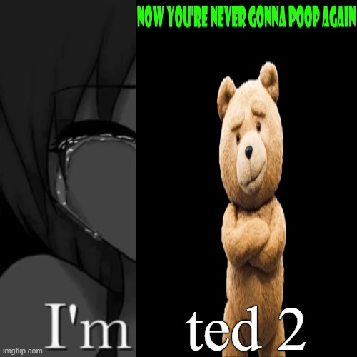 im ted 2 | ted 2 | image tagged in im ted 2 | made w/ Imgflip meme maker