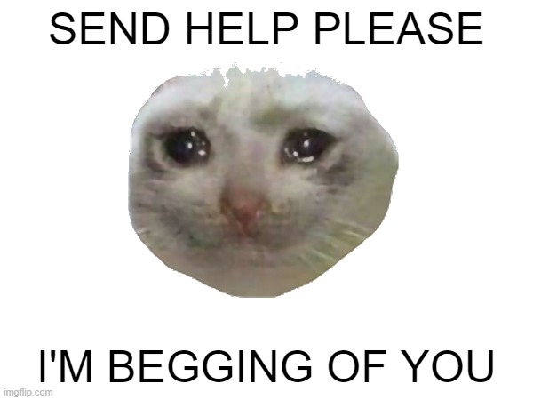 AAAAAAAI'MLOSINGMYMIND'MLOSINGMYMIND'MLOSINGMYMIND'MLOSINGMYMIND'MLOSINGMYMIND'MLOSINGMYMIND'MLOSINGMYMIND | SEND HELP PLEASE; I'M BEGGING OF YOU | made w/ Imgflip meme maker