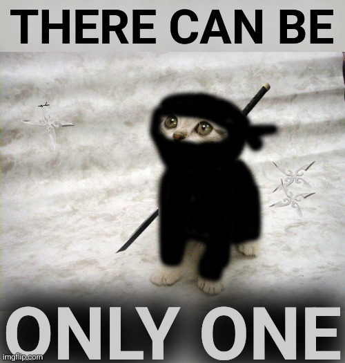 Ninja kitty  | THERE CAN BE ONLY ONE | image tagged in ninja kitty | made w/ Imgflip meme maker