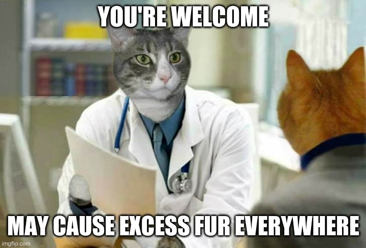 YOU'RE WELCOME MAY CAUSE EXCESS FUR EVERYWHERE | made w/ Imgflip meme maker
