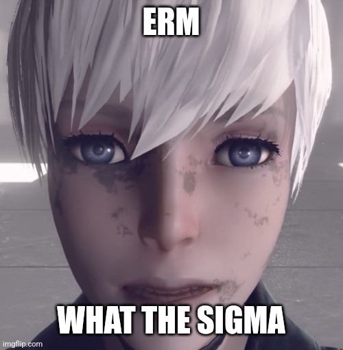 what the sigma | ERM; WHAT THE SIGMA | image tagged in dumb android's thousand yard stare | made w/ Imgflip meme maker