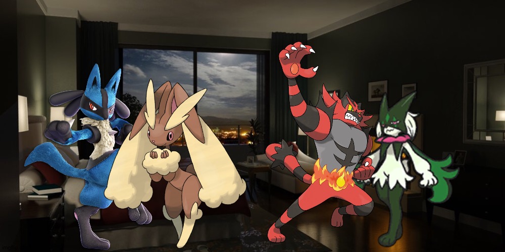 Lucario,Lopunny,Incineroar and Meowscarada having a party in their house | image tagged in night bedroom,pokemon | made w/ Imgflip meme maker