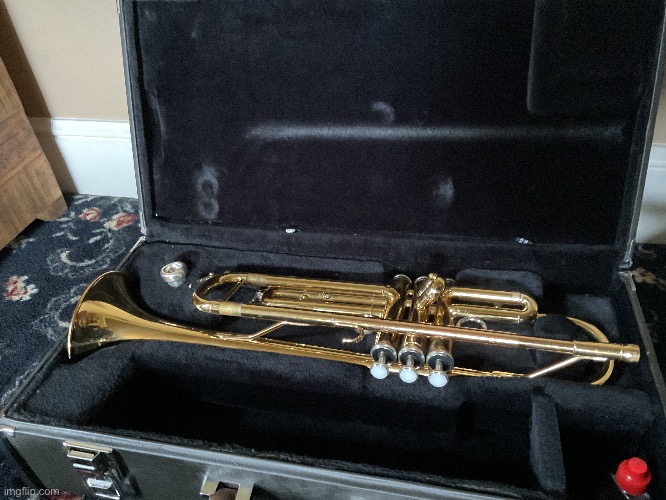 Trumpet | image tagged in msmg,trumpet pictures | made w/ Imgflip meme maker