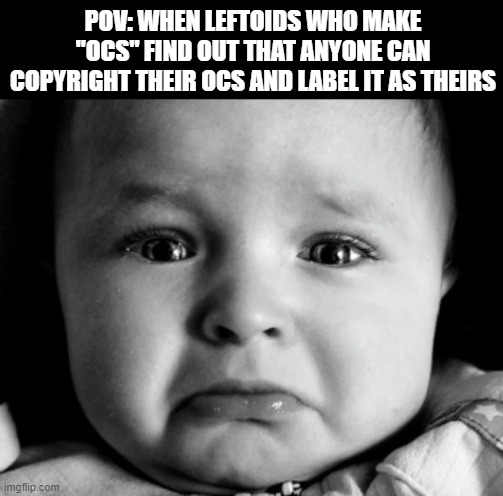pov | POV: WHEN LEFTOIDS WHO MAKE "OCS" FIND OUT THAT ANYONE CAN COPYRIGHT THEIR OCS AND LABEL IT AS THEIRS | image tagged in memes,sad baby | made w/ Imgflip meme maker