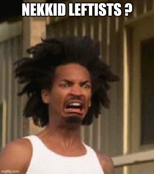 Disgusted Face | NEKKID LEFTISTS ? | image tagged in disgusted face | made w/ Imgflip meme maker