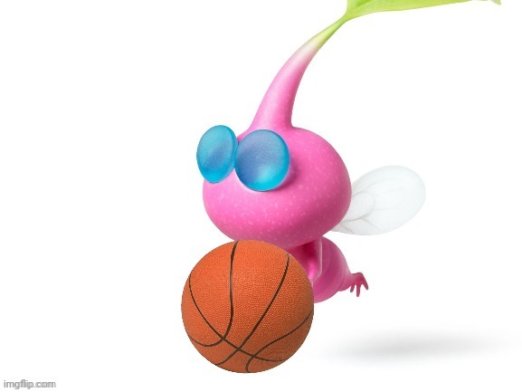 Pink Pikmin be ballin' | image tagged in pink pikmin be ballin' | made w/ Imgflip meme maker