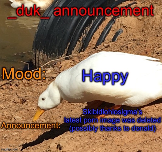 Happy; Skibidiohiosigma's latest porn image was deleted (possibly thanks to donald) | image tagged in _duk_ announcement template | made w/ Imgflip meme maker