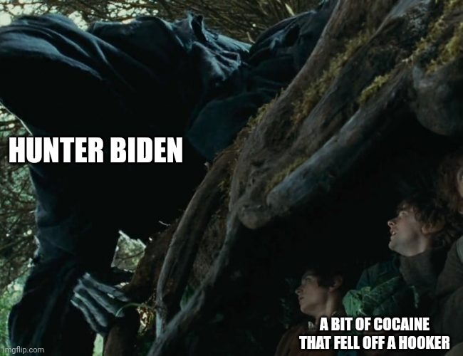Hobbits Wraith | HUNTER BIDEN; A BIT OF COCAINE THAT FELL OFF A HOOKER | image tagged in hobbits wraith,hunter biden,cocaine | made w/ Imgflip meme maker