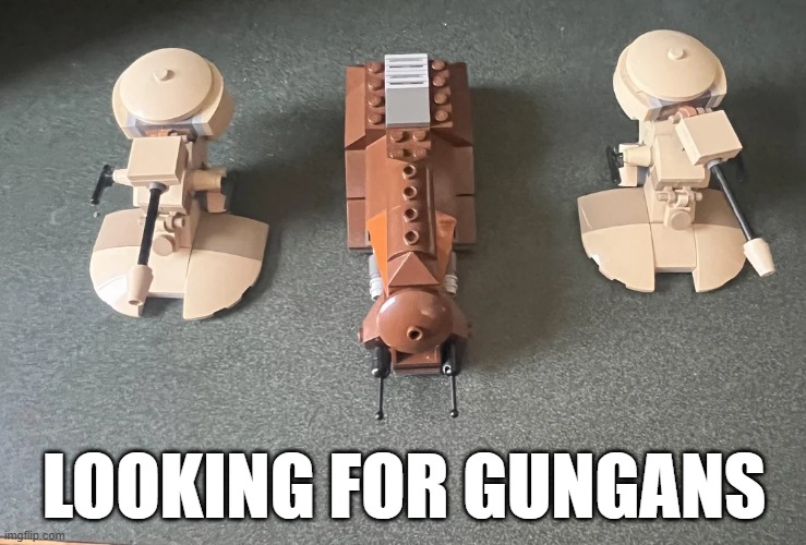 Gungans | LOOKING FOR GUNGANS | image tagged in droids,gungans | made w/ Imgflip meme maker