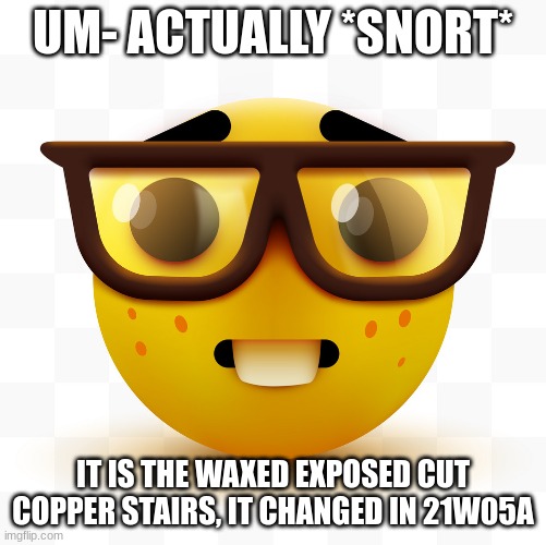 Nerd emoji | UM- ACTUALLY *SNORT* IT IS THE WAXED EXPOSED CUT COPPER STAIRS, IT CHANGED IN 21W05A | image tagged in nerd emoji | made w/ Imgflip meme maker