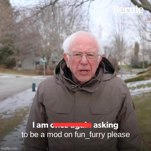 please | to be a mod on fun_furry please | image tagged in memes,bernie i am once again asking for your support | made w/ Imgflip meme maker