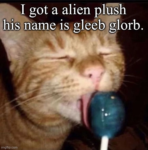 silly goober 2 | I got a alien plush
his name is gleeb glorb. | image tagged in silly goober 2 | made w/ Imgflip meme maker