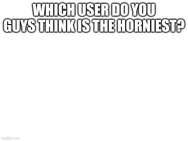 WHICH USER DO YOU GUYS THINK IS THE HORNIEST? | made w/ Imgflip meme maker