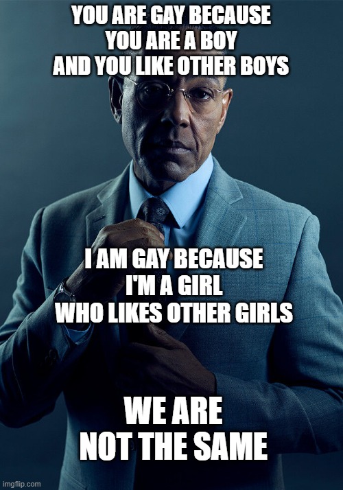 Gus Fring we are not the same | YOU ARE GAY BECAUSE YOU ARE A BOY AND YOU LIKE OTHER BOYS; I AM GAY BECAUSE I'M A GIRL WHO LIKES OTHER GIRLS; WE ARE NOT THE SAME | image tagged in gus fring we are not the same | made w/ Imgflip meme maker