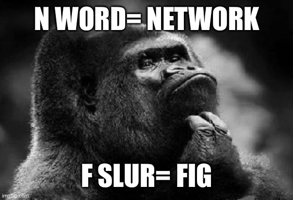 thinking monkey | N WORD= NETWORK F SLUR= FIG | image tagged in thinking monkey | made w/ Imgflip meme maker