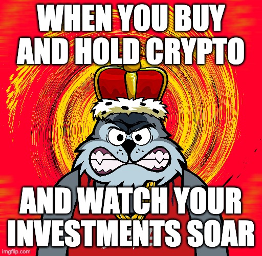 SolKittyCash | WHEN YOU BUY AND HOLD CRYPTO; AND WATCH YOUR INVESTMENTS SOAR | image tagged in memecoin | made w/ Imgflip meme maker