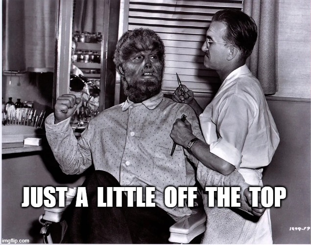 (HAIRCUT BY FLOYD LAWSON) JUST A LITTLE OFF THE TOP | JUST  A  LITTLE  OFF  THE  TOP | image tagged in wolfman | made w/ Imgflip meme maker