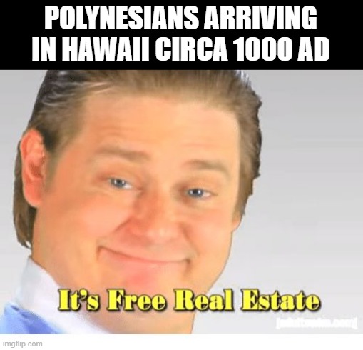 Welcome to Hawaii | POLYNESIANS ARRIVING IN HAWAII CIRCA 1000 AD | image tagged in it's free real estate | made w/ Imgflip meme maker
