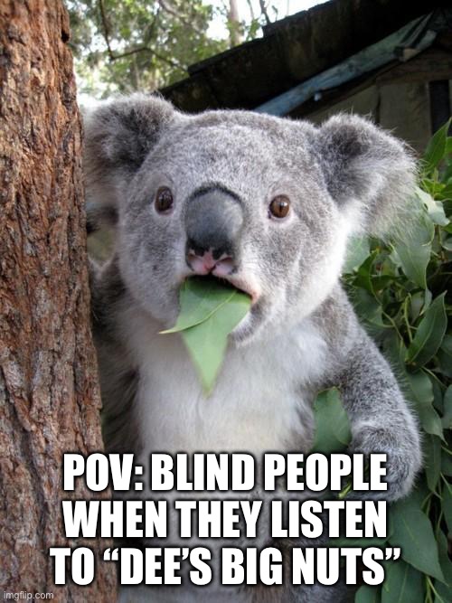 Surprised Koala Meme | POV: BLIND PEOPLE WHEN THEY LISTEN TO “DEE’S BIG NUTS” | image tagged in memes,surprised koala | made w/ Imgflip meme maker