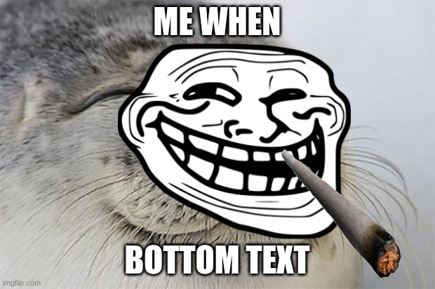 nostalgia | ME WHEN; BOTTOM TEXT | image tagged in memes,satisfied seal | made w/ Imgflip meme maker