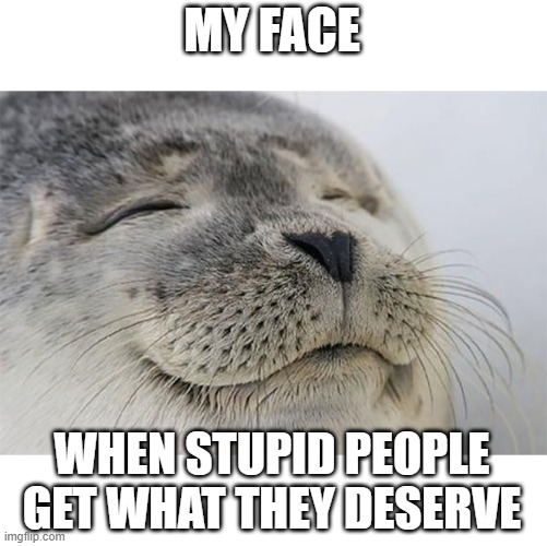 Satisfied Seal Meme | MY FACE; WHEN STUPID PEOPLE GET WHAT THEY DESERVE | image tagged in memes,satisfied seal | made w/ Imgflip meme maker