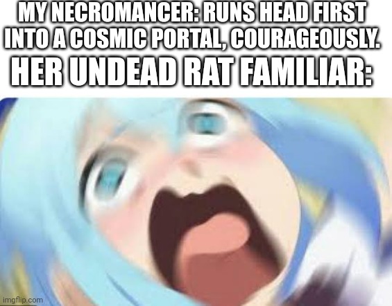 Panicked Undead Rat Noises | MY NECROMANCER: RUNS HEAD FIRST INTO A COSMIC PORTAL, COURAGEOUSLY. HER UNDEAD RAT FAMILIAR: | image tagged in aqua konosuba,dungeons and dragons | made w/ Imgflip meme maker