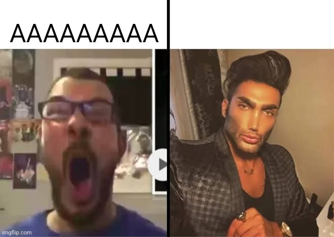 Average X fan vs average X enjoyer | AAAAAAAAA | image tagged in average x fan vs average x enjoyer | made w/ Imgflip meme maker