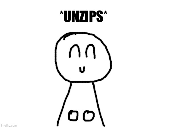 *UNZIPS* | made w/ Imgflip meme maker