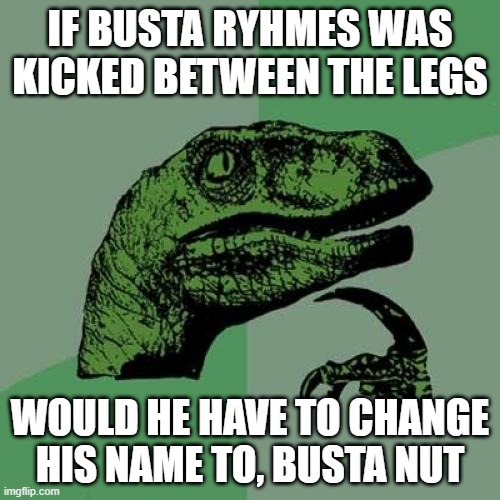 Busta something | IF BUSTA RYHMES WAS KICKED BETWEEN THE LEGS; WOULD HE HAVE TO CHANGE HIS NAME TO, BUSTA NUT | image tagged in memes,philosoraptor,busta ryhmes,nuts | made w/ Imgflip meme maker