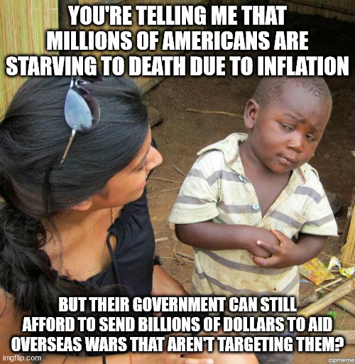black kid | YOU'RE TELLING ME THAT MILLIONS OF AMERICANS ARE STARVING TO DEATH DUE TO INFLATION; BUT THEIR GOVERNMENT CAN STILL AFFORD TO SEND BILLIONS OF DOLLARS TO AID OVERSEAS WARS THAT AREN'T TARGETING THEM? | image tagged in black kid | made w/ Imgflip meme maker