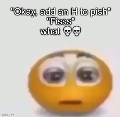 I think my older brother is stupid sometimes | "Okay, add an H to pish"
"Fisss"
what 💀💀 | image tagged in holy moly emoji stare | made w/ Imgflip meme maker