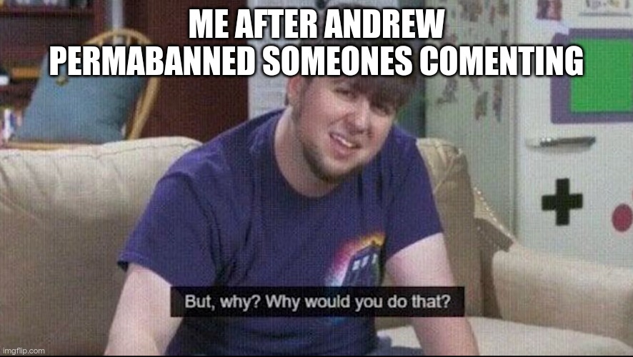 But why why would you do that? | ME AFTER ANDREW PERMABANNED SOMEONES COMENTING | image tagged in but why why would you do that | made w/ Imgflip meme maker