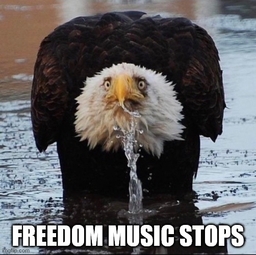 freedom music stops | image tagged in freedom music stops | made w/ Imgflip meme maker