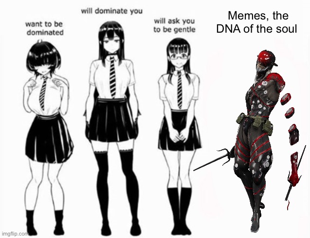 Domination stats | Memes, the DNA of the soul | image tagged in domination stats,memes,metal gear rising,shitpost,humor,metal gear | made w/ Imgflip meme maker