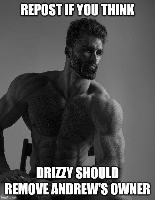Giga Chad | REPOST IF YOU THINK; DRIZZY SHOULD REMOVE ANDREW'S OWNER | image tagged in giga chad | made w/ Imgflip meme maker