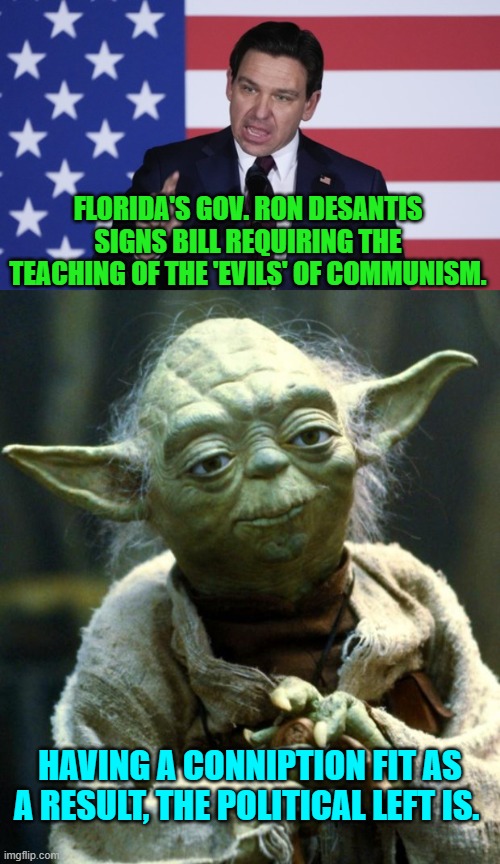 Oh the horrors; this mandated teaching of factual history and reality! | FLORIDA'S GOV. RON DESANTIS SIGNS BILL REQUIRING THE TEACHING OF THE 'EVILS' OF COMMUNISM. HAVING A CONNIPTION FIT AS A RESULT, THE POLITICAL LEFT IS. | image tagged in star wars yoda | made w/ Imgflip meme maker