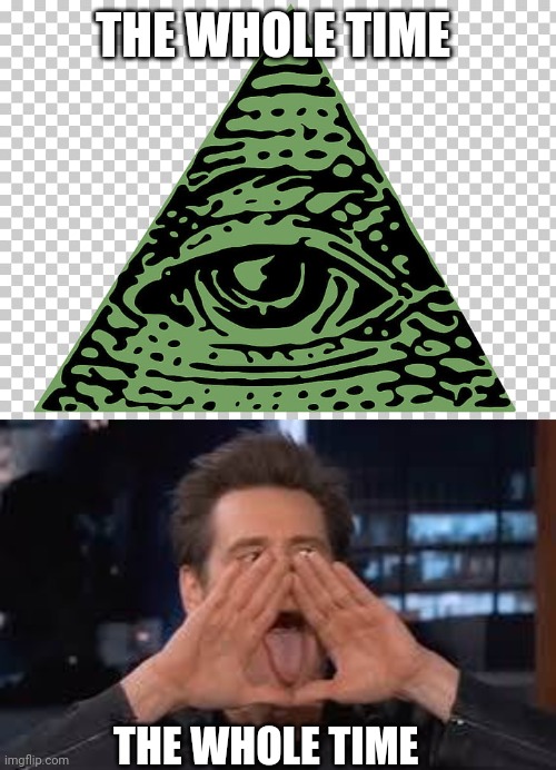 THE WHOLE TIME THE WHOLE TIME | image tagged in eye of providence | made w/ Imgflip meme maker