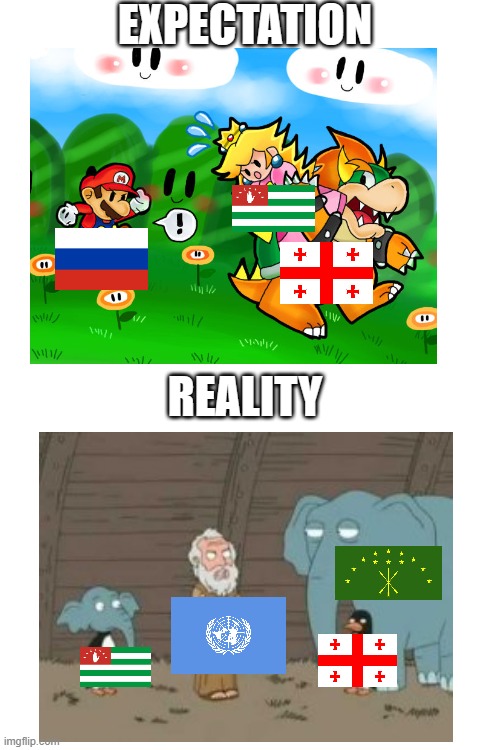 Abkhazia in a nutshell | EXPECTATION; REALITY | image tagged in blank white template,history,funny,memes,animals | made w/ Imgflip meme maker