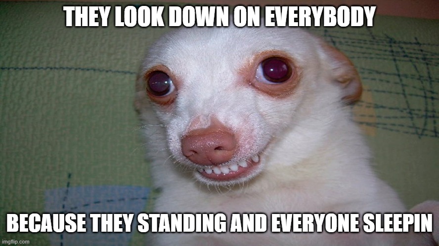 embarrassed grin | THEY LOOK DOWN ON EVERYBODY BECAUSE THEY STANDING AND EVERYONE SLEEPIN | image tagged in embarrassed grin | made w/ Imgflip meme maker