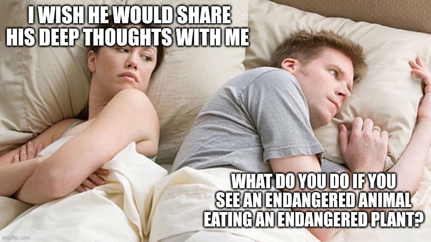 He's probably thinking about girls | I WISH HE WOULD SHARE HIS DEEP THOUGHTS WITH ME; WHAT DO YOU DO IF YOU SEE AN ENDANGERED ANIMAL EATING AN ENDANGERED PLANT? | image tagged in he's probably thinking about girls | made w/ Imgflip meme maker