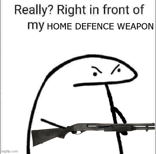 Really in front of my Home Defence Weapon | HOME DEFENCE WEAPON | image tagged in really right in front of my pancit,shotgun,murica,home defence,2nd amendment | made w/ Imgflip meme maker