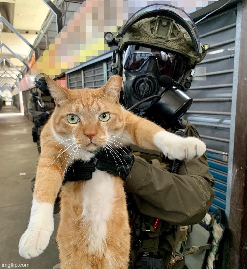 “Can we keep it?” | made w/ Imgflip meme maker